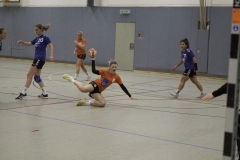 20191027_Damen-I-gegen-HC-Bamberg_0108